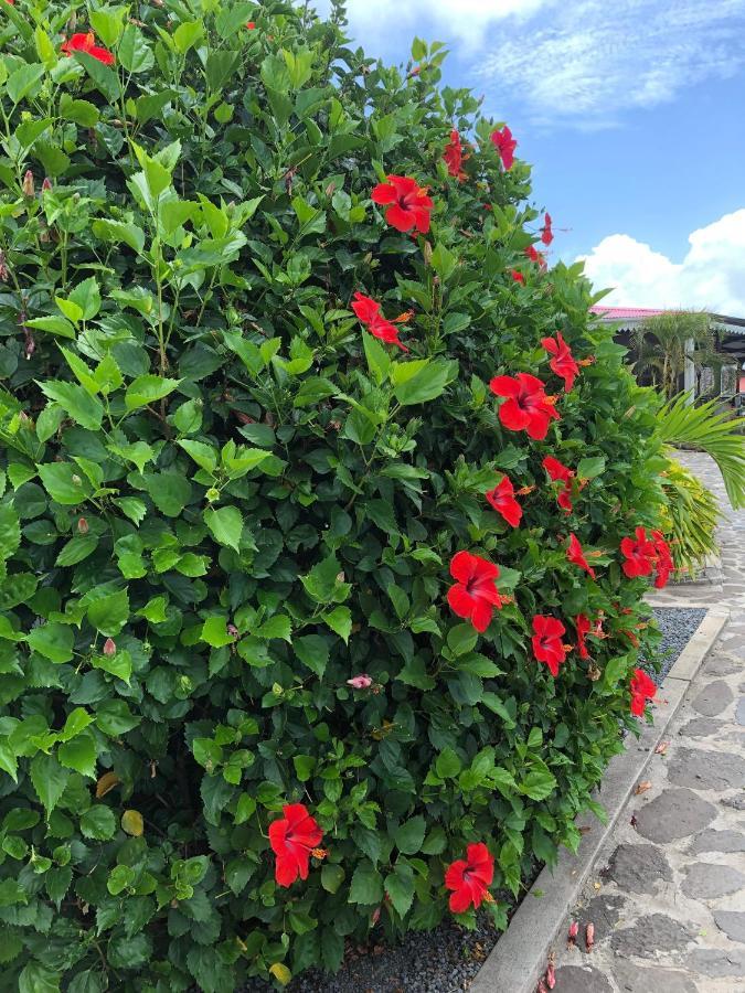 Lovely Apartment In Flic En Flac, Close To The Beach And All Amenities. Exteriér fotografie